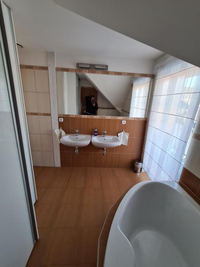Vrbno pod Pradědem Dum Mnichov Bazen Klimatizaceヴィラ エクステリア 写真